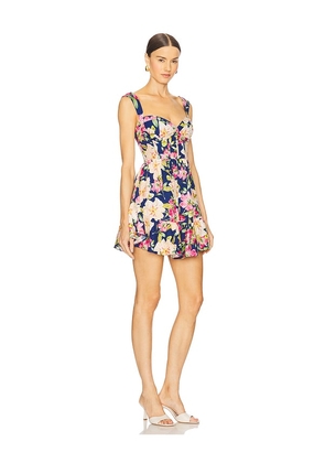 Yumi Kim Sylvia Dress in Navy,Pink. Size S. Also in L.