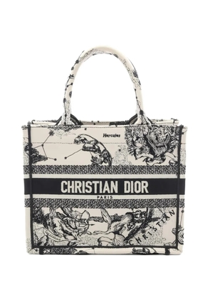 Christian Dior Pre-Owned small Dior Book Tote canvas handbag - White