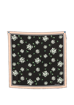 Dolce & Gabbana floral-pattern scarf - Black