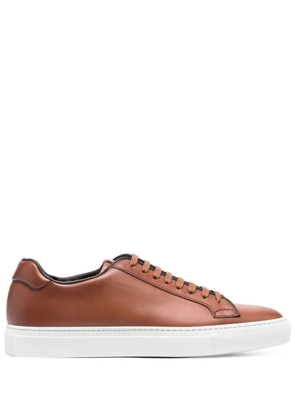 Scarosso Ugo low-top sneakers - Brown