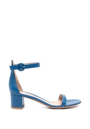 Gianvito Rossi buckle-strap sandals - Blue