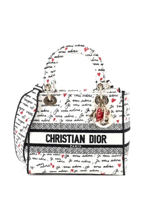 Christian Dior Pre-Owned Lady D-Lite Bag Embroidered Canvas Medium satchel - Multicolour
