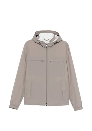 Corneliani hooded zip jacket - Neutrals