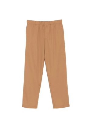 Lardini Pavice trousers - Brown