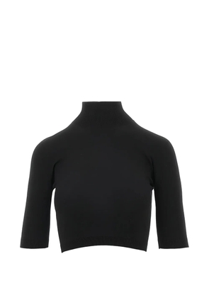 Max Mara Mxscanale turtleneck top - Black
