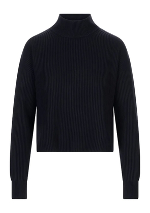 Max Mara FUFY ribbed roll-neck sweater - Blue