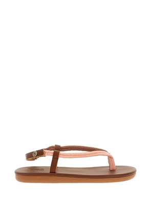 Ancient Greek Sandals braided strap sandals - Brown