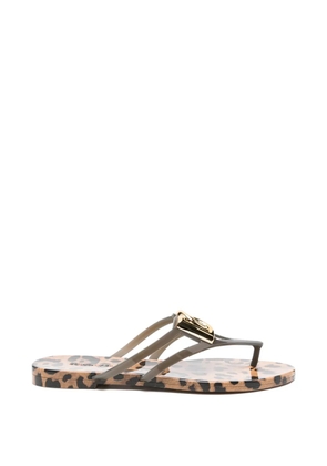 Dolce & Gabbana leopard-print logo flip-flops - Grey