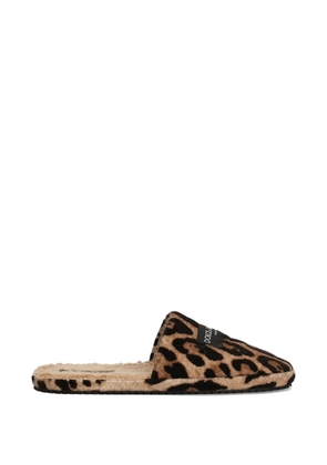 Dolce & Gabbana leo-print hotel terry slippers - Brown