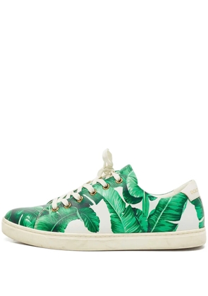 Dolce & Gabbana Pre-Owned banana leaf leather sneakers - Green