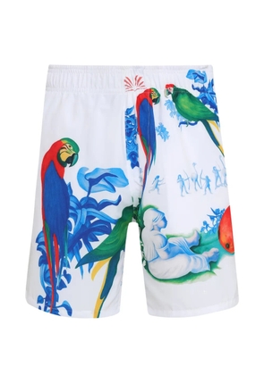 Amir Slama parrot-print deck shorts - White