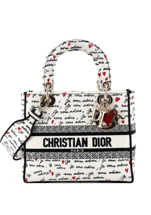 Christian Dior Pre-Owned Lady D-Lite Bag Embroidered Canvas Medium satchel - White