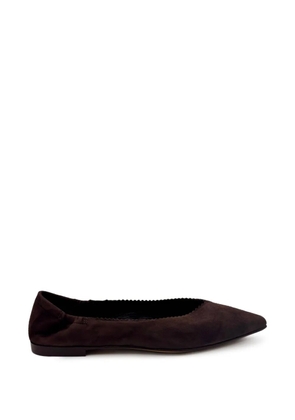 Pomme D´Or Ingrid 1000 ballet flats - Brown