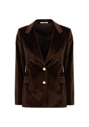 Tagliatore velvet-effect blazer - Brown