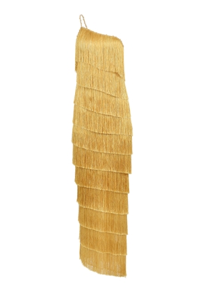 Francesca Miranda Isidora Fringed Silk-Blend Maxi Dress - Moda Operandi