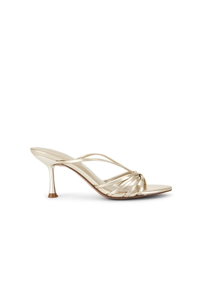 Steve Madden Edna Sandal in Metallic Gold. Size 6. Also in 6.5, 7, 7.5, 8, 8.5, 9, 9.5, 10.