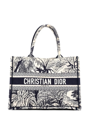 Christian Dior Pre-Owned Book Embroidered Canvas Medium tote bag - Blue