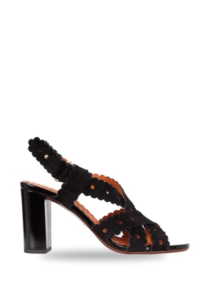 Chie Mihara Biby scalloped ballet flats - Black