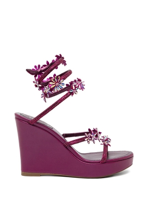 René Caovilla 105mm Cassie sandlas - Purple