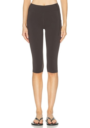 Literary Sport Lena Capri Tight in Ash - Taupe. Size XS (also in L, M, S, XL).