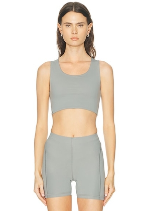 Literary Sport Maud Bra in Grey - Grey. Size XS (also in S, M, L).