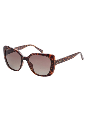 Fossil Brown Cat Eye Ladies Sunglasses FOS 3143/S 0086/LA 55