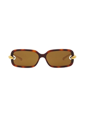Bottega Veneta Knot Rectangular Sunglasses in Havana & Brown - Brown. Size all.