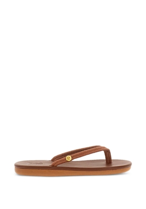 Ancient Greek Sandals braided-strap sandals - Brown