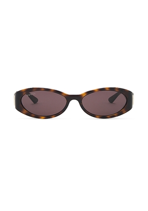 Gucci Hailey Oval Sunglasses in Brown.