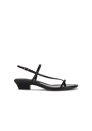 Madewell Tonio Strappy Sandal in Black. Size 5.5. Also in 6, 6.5, 7, 7.5, 8, 8.5, 9, 9.5, 10.
