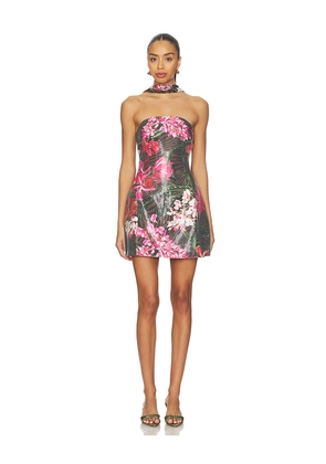 Runaway The Label Ibiza Mini Dress in Black. Size XS. Also in S, L.