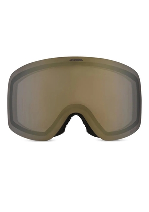 Alpina Penken Q-Lite ski goggles - Grey