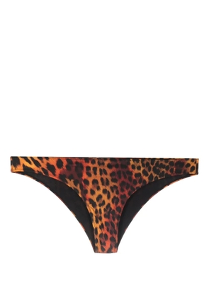 Roberto Cavalli leopard-print bikini bottoms - Black