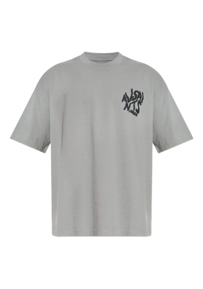 AllSaints orlando graphic t-shirt - Grey