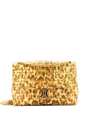 Celine Pre-Owned Victoire Flap Printed Triomphe Coated Canvas Medium shoulder bag - Neutrals