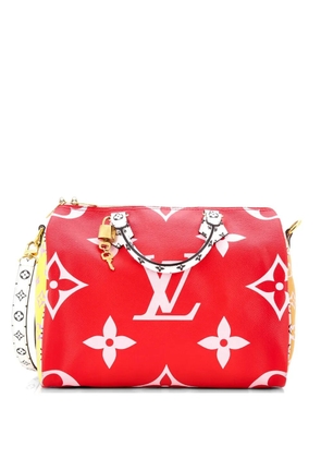 Louis Vuitton Pre-Owned Speedy Bandouliere Bag Limited Edition Colored Monogram Giant 30 satchel - Multicolour