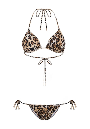 DSQUARED2 Wild2 triangle bikinis - Brown