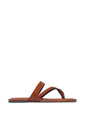 Bernardo Ocana toe-ring thong flat sandals - Brown