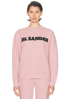 Jil Sander Crew Neck Long Sleeve Sweatshirt in Neon Rose - Pink. Size XS (also in ).