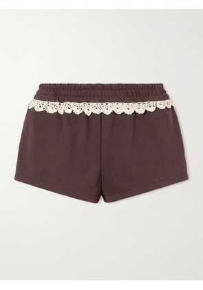 Magda Butrym - Lace-trimmed Cotton-jersey Shorts - Brown - FR 34,FR 36,FR 38,FR 40