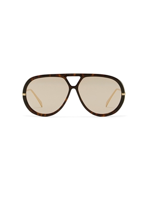 Banbe The Harley Sunglasses in Brown.