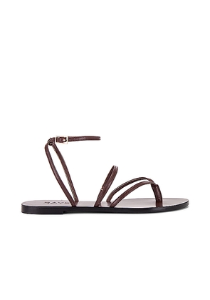 RAYE Void Sandal in Brown. Size 10. Also in 6, 6.5, 7, 7.5, 8, 8.5, 9.