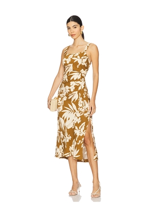 Rails Damaris Dress in Brown. Size M. Also in S.