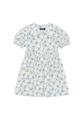 Polo Ralph Lauren Short Sleeve Cotton Floral Printed Ruffle Shirt Dress in Blue. Size 2. Also in 3, 4, 5, 6.
