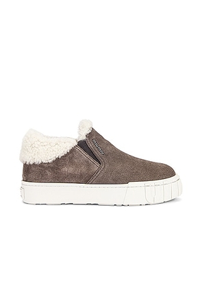 Miu Miu Suede Slip On Sneakers in Ghiaia & Natural - Grey. Size 36 (also in ).