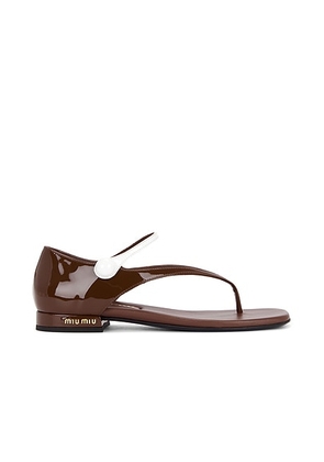 Miu Miu Thong Sandal in Palissandro & Bianco - Brown. Size 37 (also in 37.5, 39, 39.5, 40).