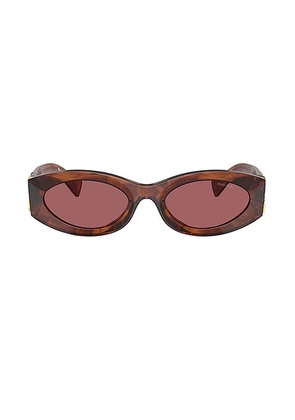 Miu Miu Oval Sunglasses in Striped Tobacco - Brown. Size all.
