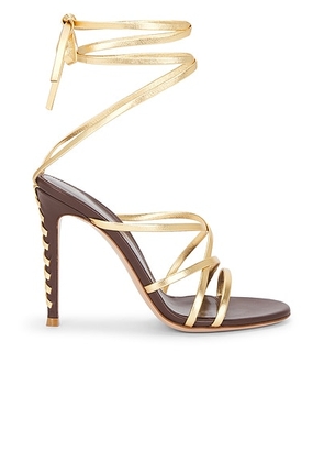 Gianvito Rossi Strappy Sandal in Mekong & Brown - Metallic Gold,Brown. Size 36 (also in 36.5, 38.5, 39, 39.5).