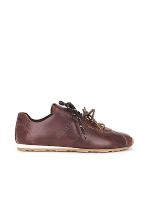 Miu Miu Plume Vitello Old Sneaker in Caffe - Brown. Size 36 (also in 37, 38, 38.5, 39, 40).