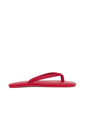 St. Agni Thong Detail Slide in Rosso - Red. Size 38 (also in ).